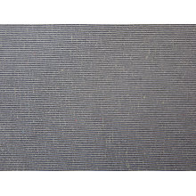 Tissu en nylon recouvert de nylon 320t Taslan pour vêtement